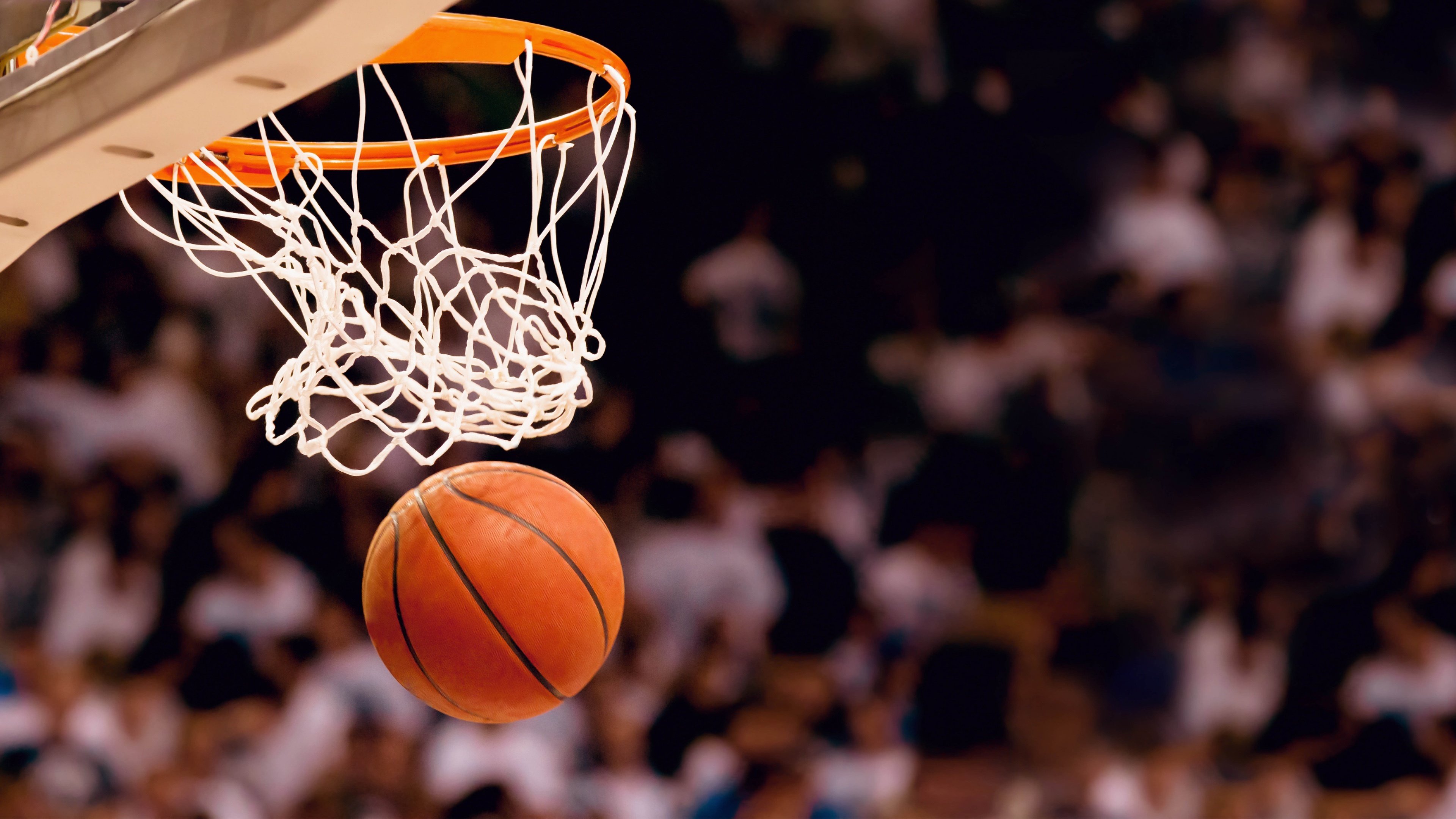 NBA球队在背靠背赛程中展现强大韧性，替补贡献显著